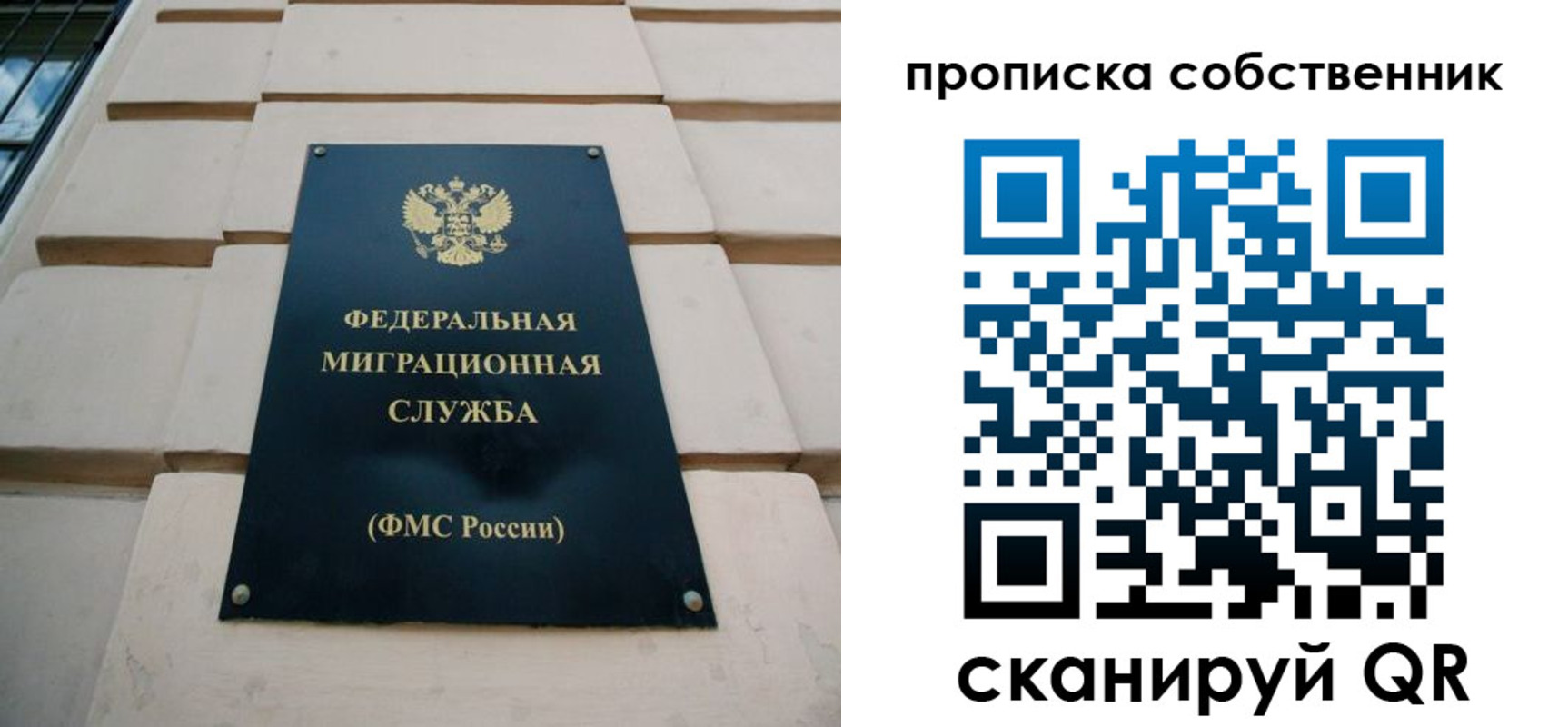 прописка законно в Порхове